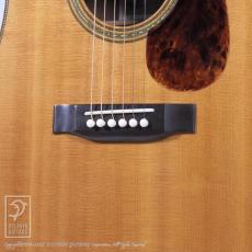 Greven The Dolphin Oshio D_10