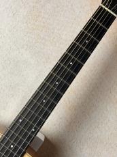 Taylor 【美麗品!!】GS mini-e 2017年製【最大48回無金利】_4