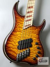 DINGWALL Z2 5st -Quilt Maple Top-【4.12kg】