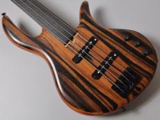 elrick Gold Series E-volution 4st Fretless -Striped Ebony-【USED】【4.04kg】_3