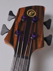 elrick Gold Series E-volution 4st Fretless -Striped Ebony-【USED】【4.04kg】_6