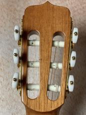 Jose Ramirez 【実用性抜群】Estudio 140 CWE S スプルース×ローズウッド【送料当社負担・最大48回無金利】_7