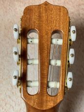 Jose Ramirez 【実用性抜群】Estudio 140 CWE C シダー×ローズウッド【送料当社負担・最大48回無金利】_6