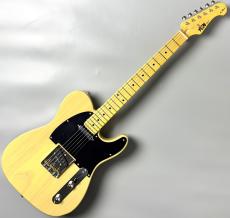 FUJIGEN NTE100MAH-OWB/01 A240548【王道スペック】_2