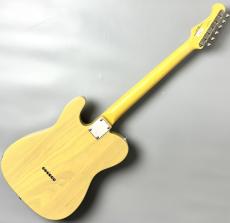 FUJIGEN NTE100MAH-OWB/01 A240548【王道スペック】_6