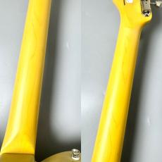 FUJIGEN NTE100MAH-OWB/01 A240548【王道スペック】_9