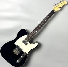 FUJIGEN FGN NTE210RAH-BK/01 #A240344【アッシュ×ローズ】【幅広いサウンドメイク】_2