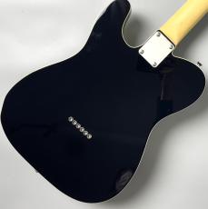 FUJIGEN FGN NTE210RAH-BK/01 #A240344【アッシュ×ローズ】【幅広いサウンドメイク】_7