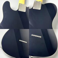 FUJIGEN FGN NTE210RAH-BK/01 #A240344【アッシュ×ローズ】【幅広いサウンドメイク】_8