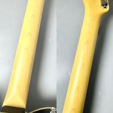 FUJIGEN FGN NTE210RAH-BK/01 #A240344【アッシュ×ローズ】【幅広いサウンドメイク】_9