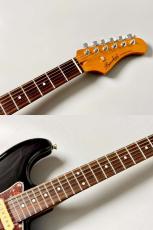 Bacchus BST2-RSM/ R-Tortoise Pickguard -Black- 【鼈甲ピックガード】【5/10までの限定特価】_5