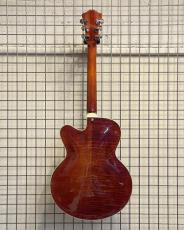 Eastman AR-503CE_2