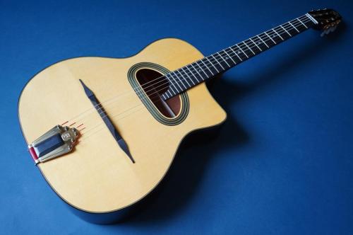 Stringphonic Advanced 14D