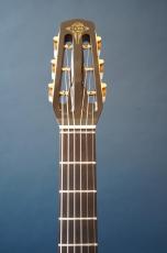 Stringphonic Advanced 14D_5
