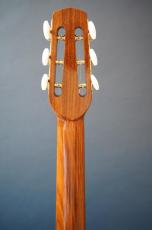 Stringphonic Advanced 14D_6