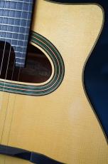 Stringphonic Advanced 14D_10