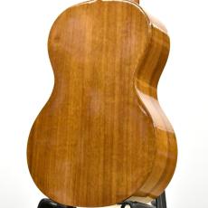 Famous 【クロサワ横浜店】【日本製/ハワイアンコアモデル】FS-5G 【ショッピングクレジット無金利】_2