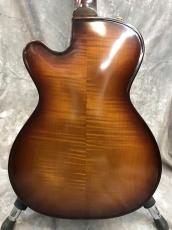 Landscape AR-202 Proto_7