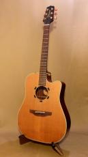 Takamine EN-10C