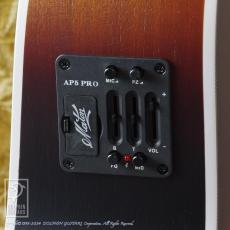 Maton Troubadour Dreadnought_13