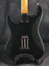 FREEDOM CUSTOM GUITAR RESEARCH 2018 Retro Series R.S. ST_5