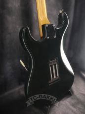FREEDOM CUSTOM GUITAR RESEARCH 2018 Retro Series R.S. ST_8