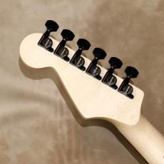 Charvel U.S.A Artist Series Jake E Lee USA Signature, Blue Burst_5