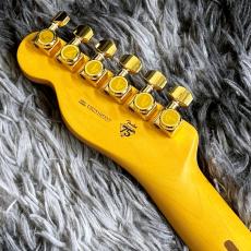 Fender 75th Anniversary American Professional Custom Telecaster, Maple Fingerboard, 2-Color Sunburst_7