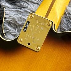 Fender 75th Anniversary American Professional Custom Telecaster, Maple Fingerboard, 2-Color Sunburst_8