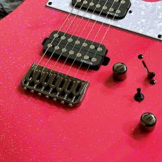 SCHECTER BanG Dream! Collaboration Series BC-AveMujica/Mortis【モーティス/若葉 睦モデル】_3