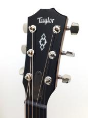 Taylor 514ce Next Generation【Claria搭載最新仕様!】_3
