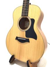 Taylor GS mini