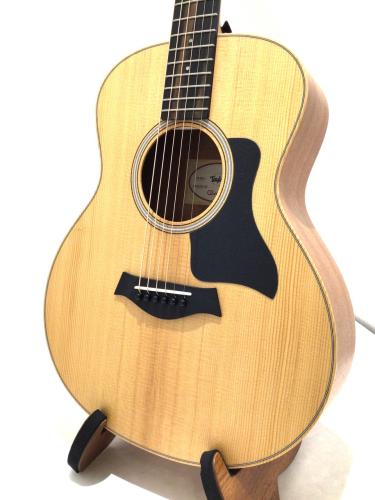Taylor GS mini