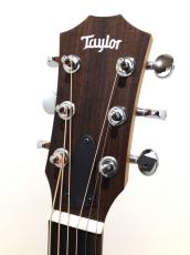 Taylor GS mini_3