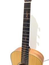 Taylor GS mini_4