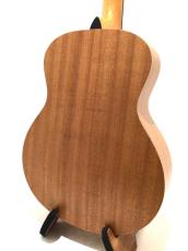 Taylor GS mini_5