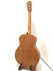 Taylor GS mini_6