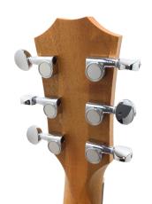 Taylor GS mini_7