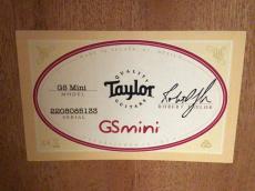 Taylor GS mini_9