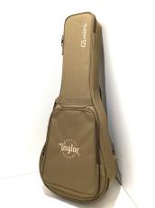 Taylor GS mini_10