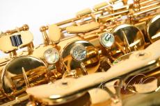 CannonBall T.Scep-L s/n S184***_4