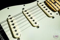 Fender American Professional Stratocaster / 2016_4