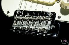 Fender American Professional Stratocaster / 2016_6