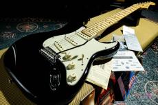 Fender American Professional Stratocaster / 2016_8