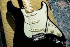 Fender American Professional Stratocaster / 2016_9