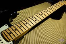 Fender American Professional Stratocaster / 2016_10