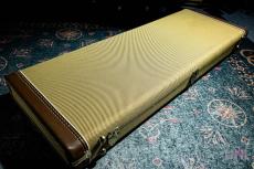 Fender American Professional Stratocaster / 2016_11