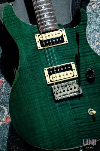Paul Reed Smith [PRS] SE Custom / 2008
