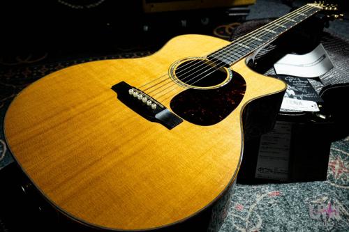 Martin GPCPA1 Plus / 2016