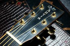 Martin GPCPA1 Plus / 2016_3